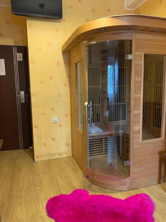 Mpark Noclegi Slask ムィスウォヴィツェ エクステリア 写真