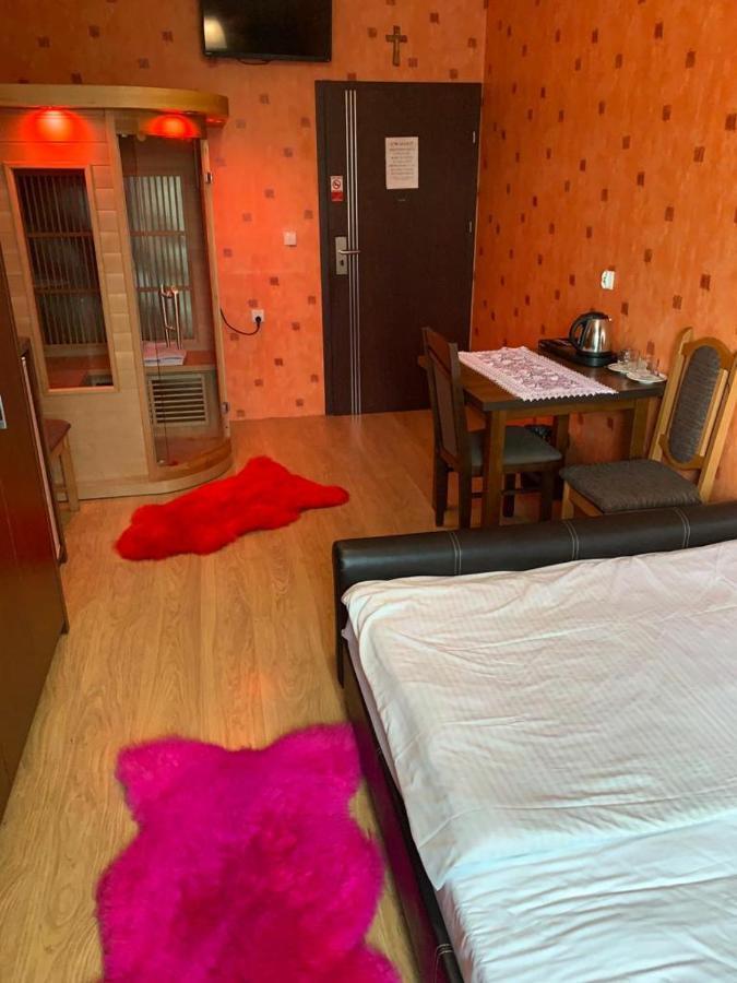 Mpark Noclegi Slask ムィスウォヴィツェ エクステリア 写真